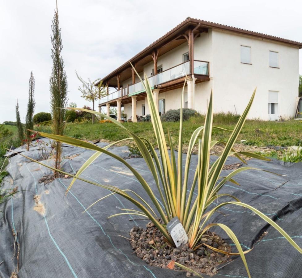 La Decouverte, Jacuzzi, Sauna, Et Terrasse Avec Vue Sur Lac A La Campagne Entre Toulouse Et Auch Catonvielle Zewnętrze zdjęcie